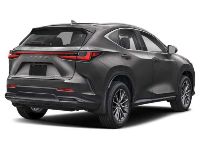 Used 2023 Cloudburst Gray Lexus Premium image 2