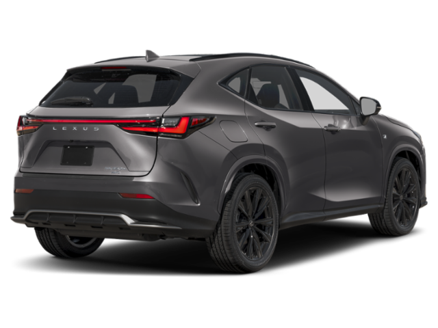 Used 2025 Cloudburst Gray Lexus Luxury image 2