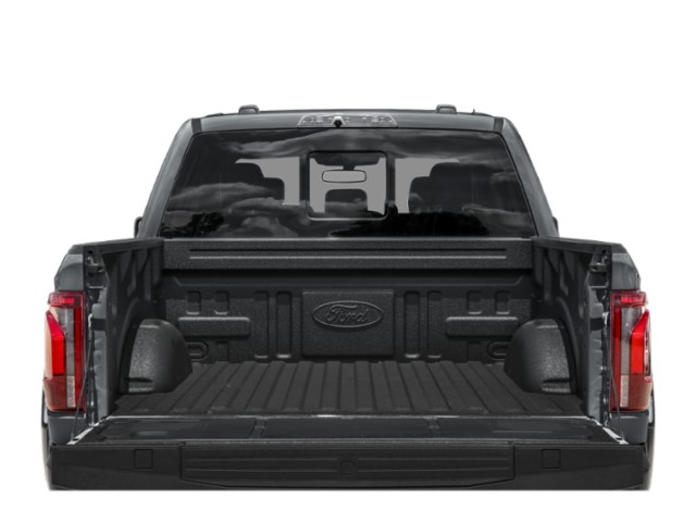 Used 2025 Agate Black Metallic Ford Raptor image 8