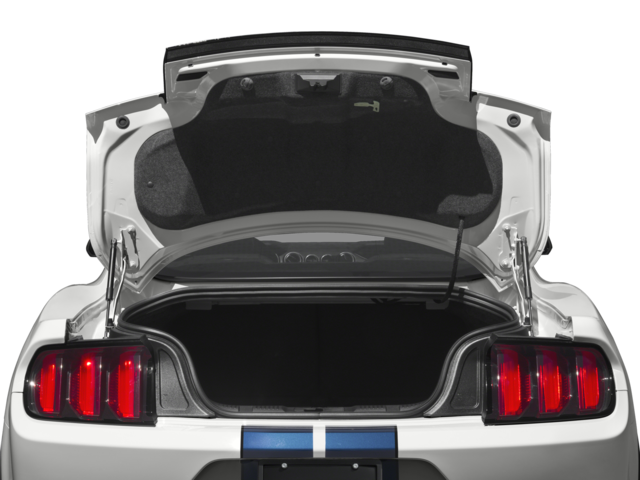 2016 Ford Mustang 2dr Fastback Shelby GT350