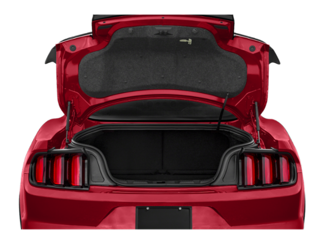 2018 Ford Mustang Shelby GT350R Fastback