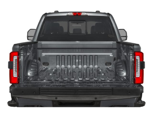 2026 Avalanche Ford Super Duty F-250 SRW Platinum 4X4 Truck
