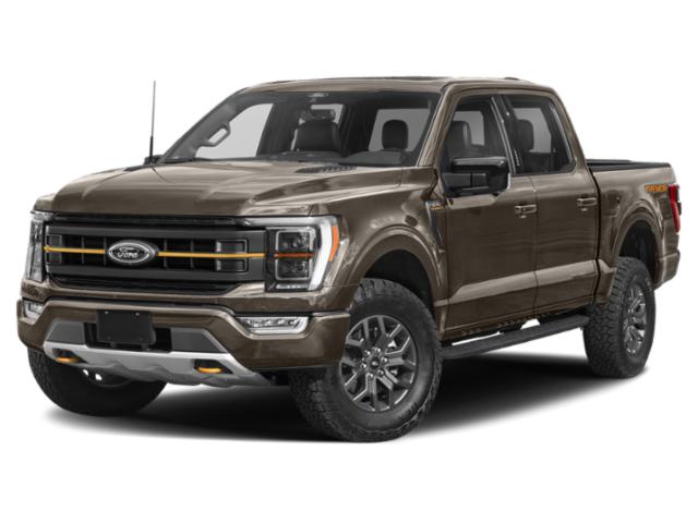 2021 Stone Gray Metallic Ford F-150 Tremor 4X4 Truck