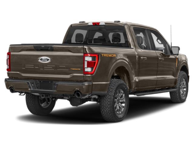 2021 Stone Gray Metallic Ford F-150 Tremor 4X4 Truck