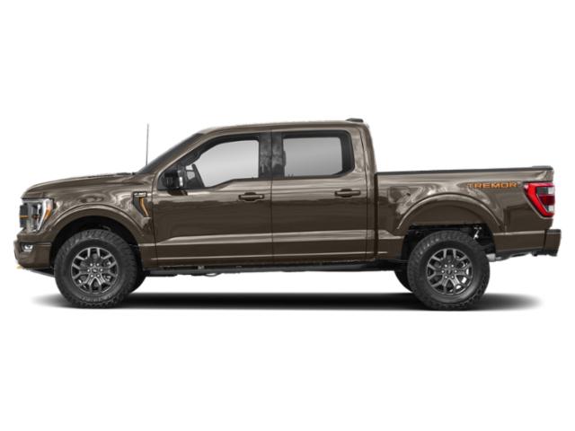 2021 Stone Gray Metallic Ford F-150 Tremor 4X4 Truck