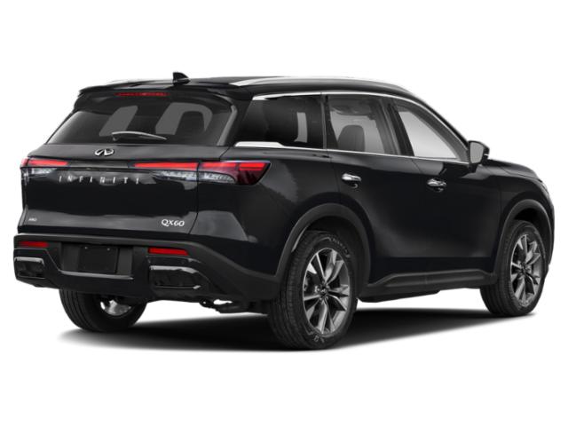 2024 Mineral Black INFINITI QX60 LUXE AWD SUV
