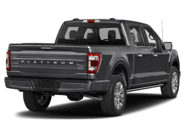 2022 Black Metallic Ford F-150 Platinum 4X4 Truck