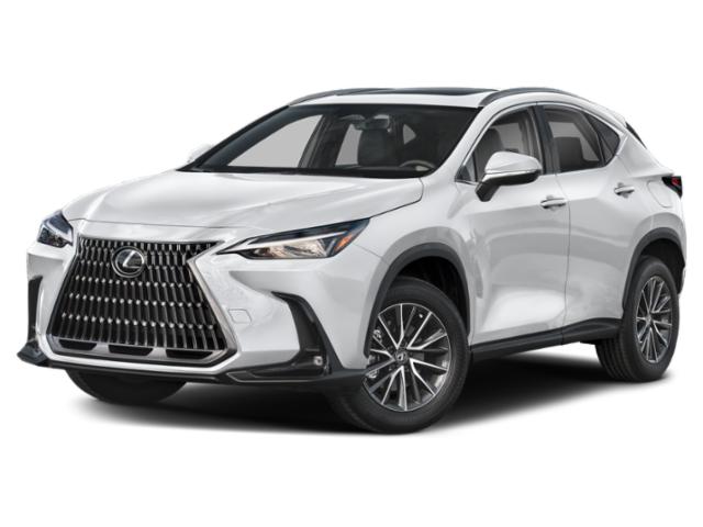 2024 White Pearl Lexus NX 250 Base SUV