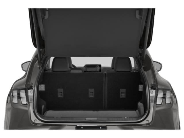 2022 Ford Mustang Mach-E Premium Premium RWD Electric [6]