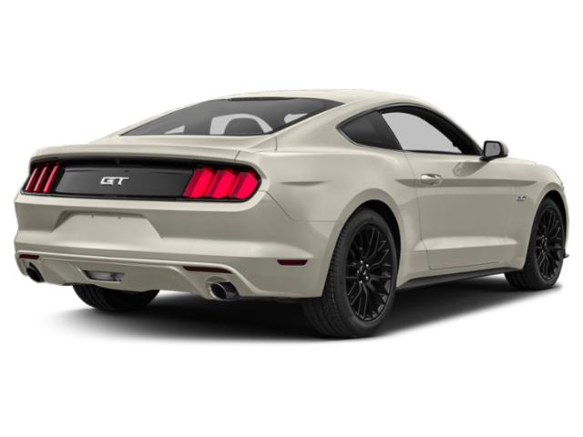 2015 FORD MUSTANG GT 50YR ED 2dr Fastback GT 50 Years Limited Edition Premium Unleaded V-8 5.0 L/302 [2]