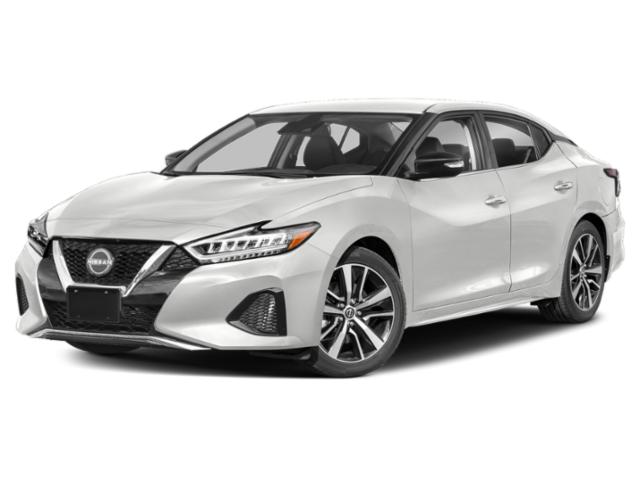 2023 Nissan Maxima SV's photo
