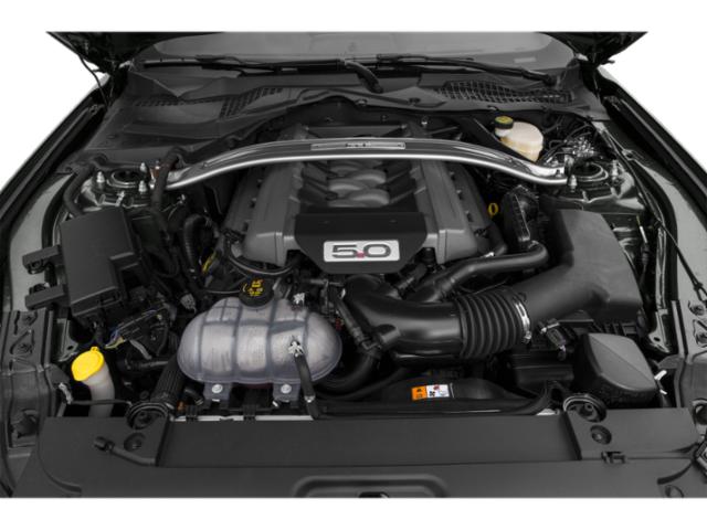 2015 FORD MUSTANG GT 50YR ED 2dr Fastback GT 50 Years Limited Edition Premium Unleaded V-8 5.0 L/302 [9]