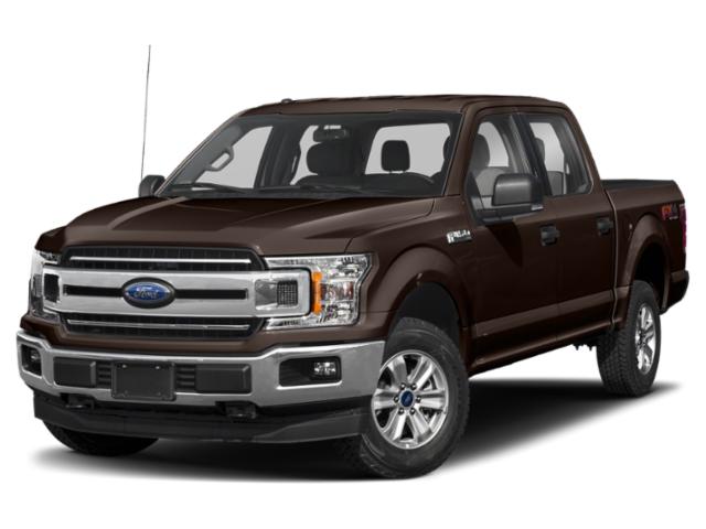 2020 Ford F-150 XLT  Regular Unleaded V8 5.0 L [3]