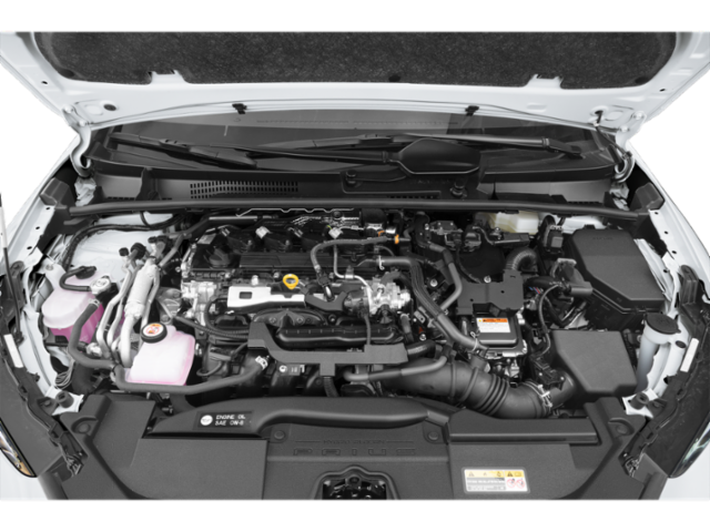 New 2026 Karashi Toyota Nightshade image 9