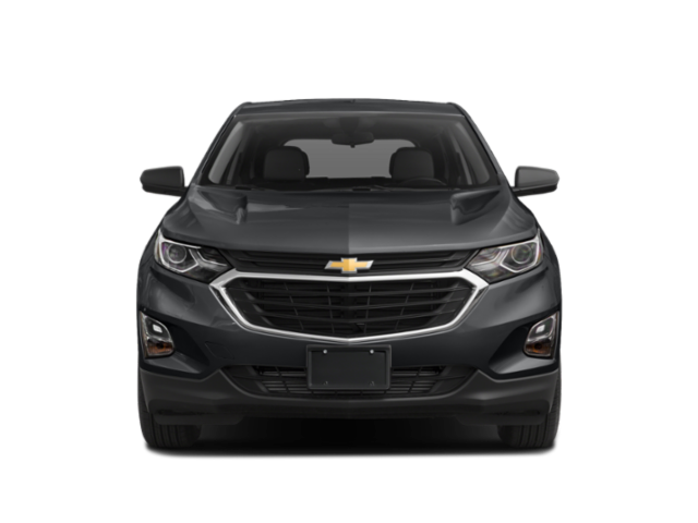 Used 2019 Silver Chevrolet LS image 4