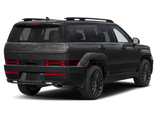 New 2027 Phantom Black Hyundai Calligraphy image 2
