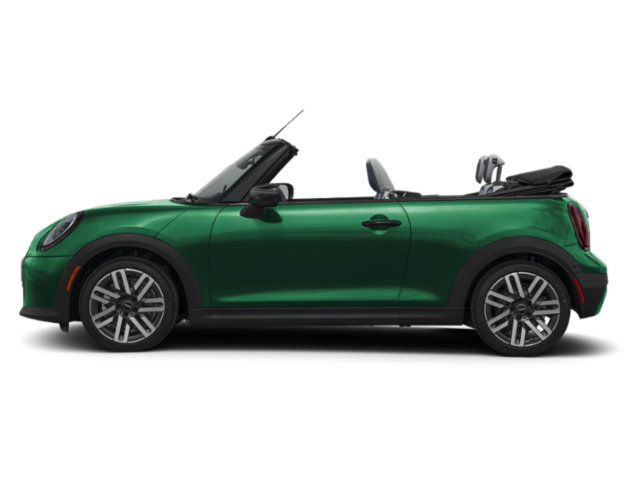 New 2026 Green MINI  image 3
