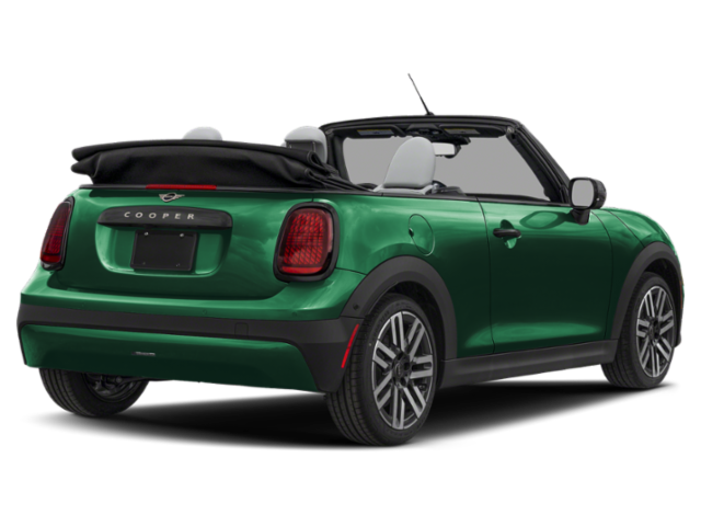 New 2026 Green MINI  image 2