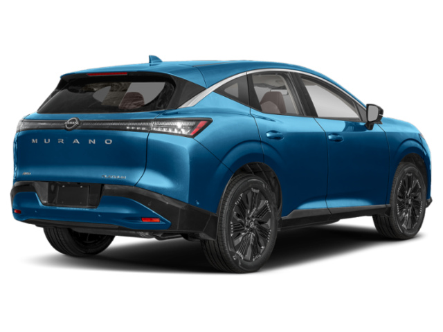 New 2027 Fan Nissan Platinum image 2