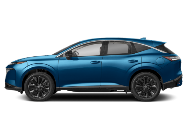 New 2027 Fan Nissan Platinum image 3