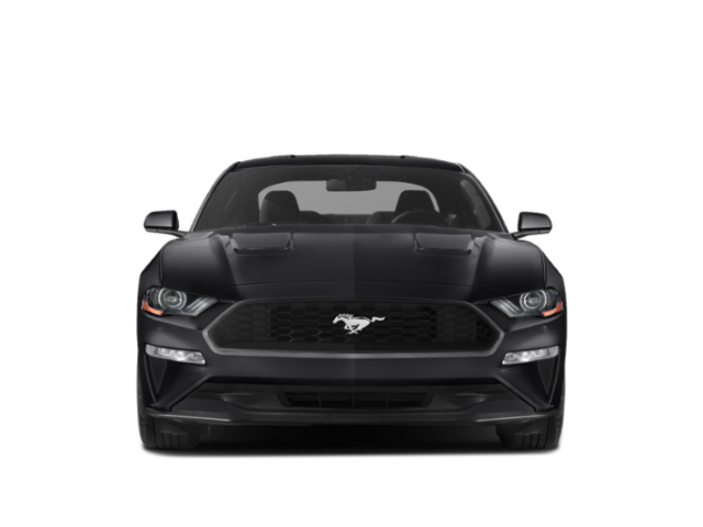Used 2018 White Ford EcoBoost Premium image 4