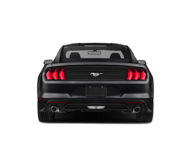 Used 2018 White Ford EcoBoost Premium image 5