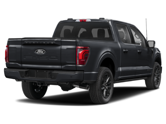 New 2025 Black Ford Platinum image 11