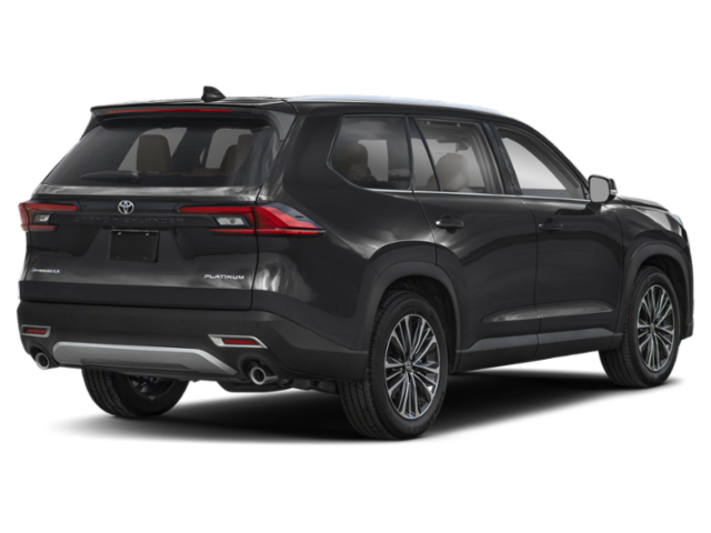 New 2026 Black Toyota MAX Platinum image 2