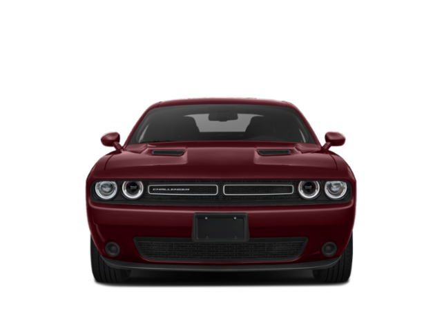 Used 2019 Gray Dodge SXT image 4