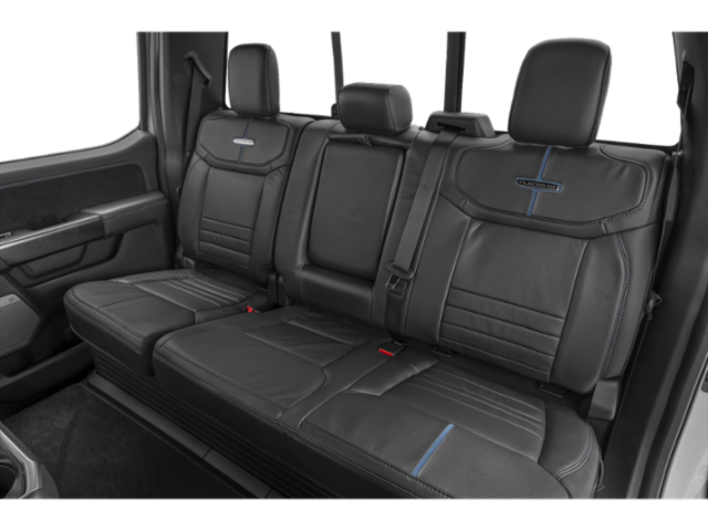 New 2025 Black Ford Platinum image 19