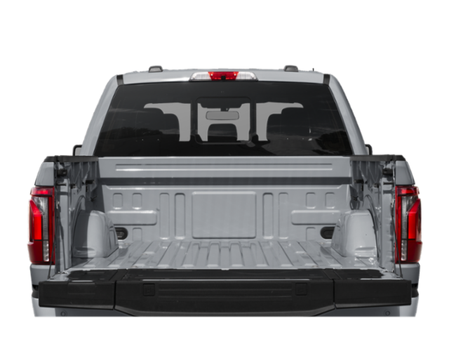 New 2025 Black Ford Platinum image 17