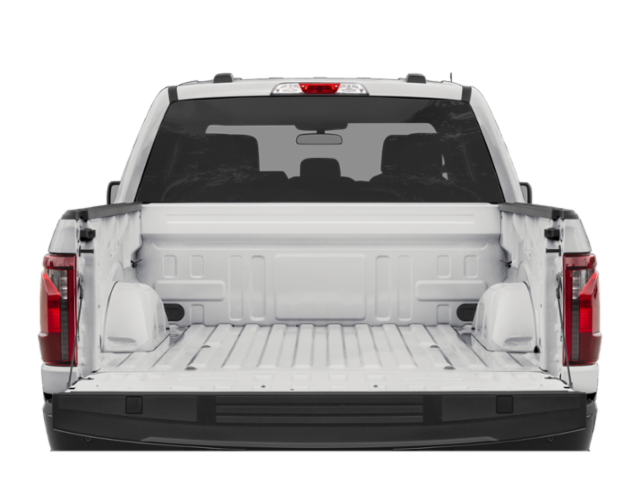 2025 FORD F-150 - Image 38