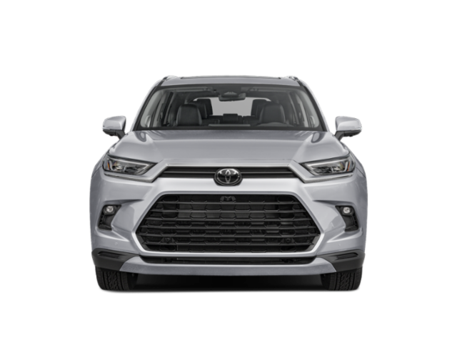 New 2026 Beige Toyota Platinum image 4