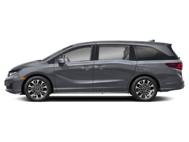New 2026 Modern Steel Metallic Honda Elite image 3