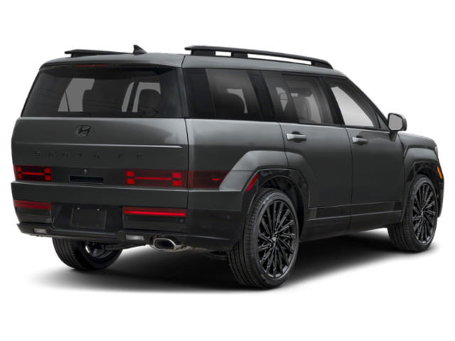 New 2026 Gray HYUNDAI Calligraphy image 2