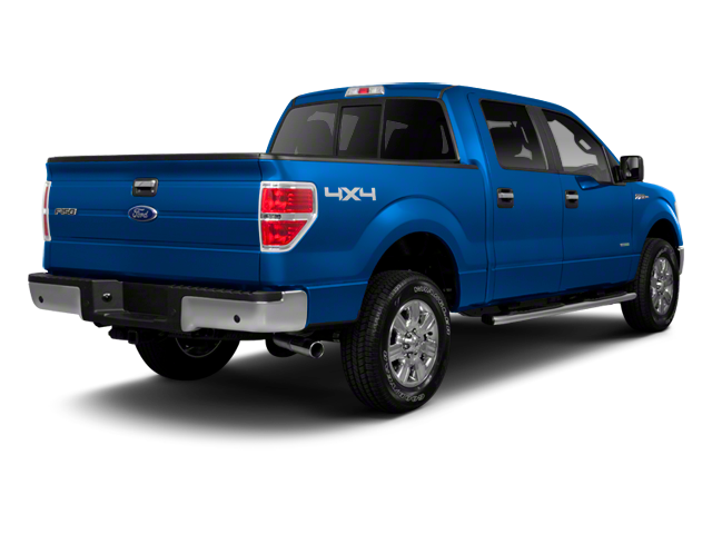 Used 2010  Ford XLT image 2