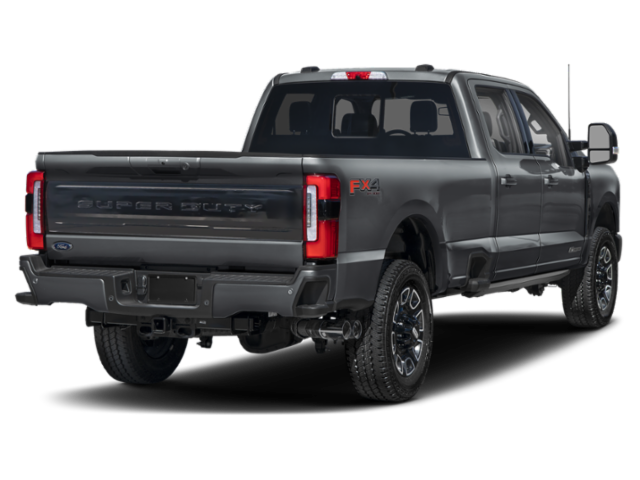 New 2026 Gray Ford Platinum image 2