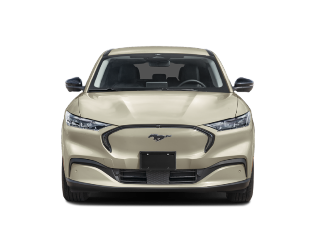 New 2026  Ford Premium image 9