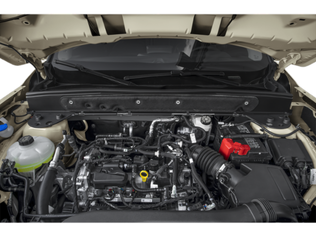 Used 2024 White Ford Outer Banks image 9