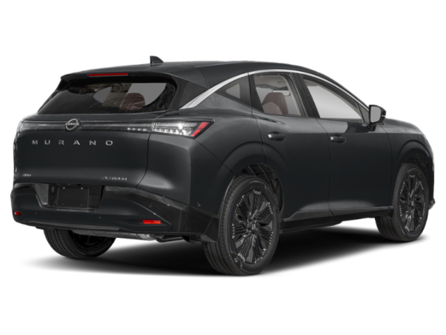 New 2026 Super Black Nissan Platinum image 4