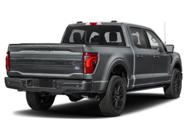 New 2027 Gray Ford Platinum image 2