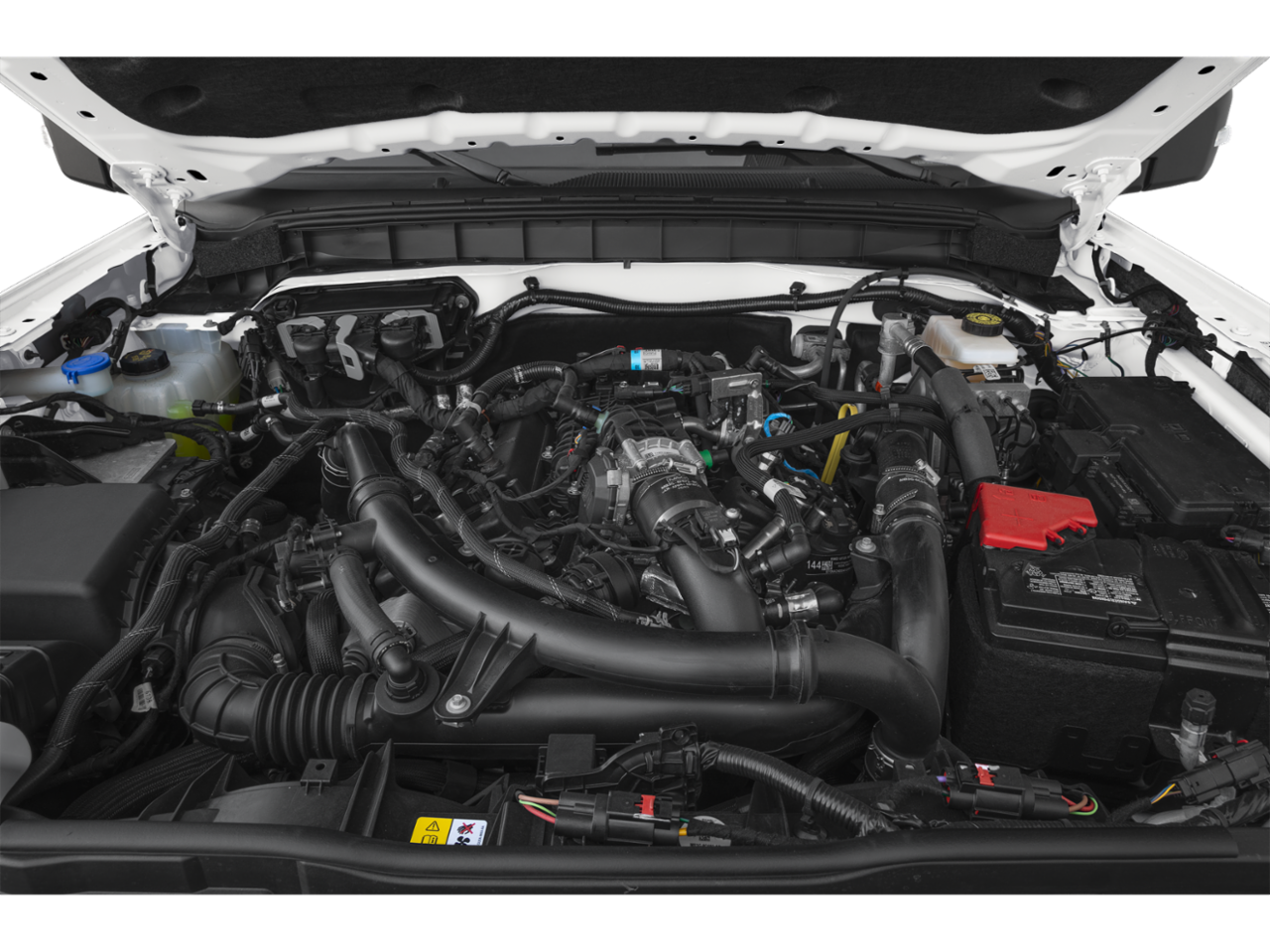 Color YZ Images