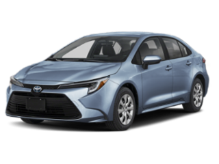 Sticky Gallery Image