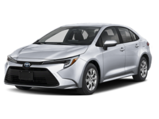 Sticky Gallery Image