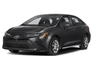 Sticky Gallery Image