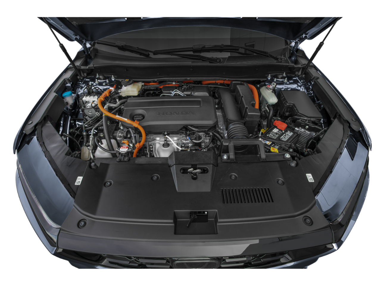 Color R569M Images