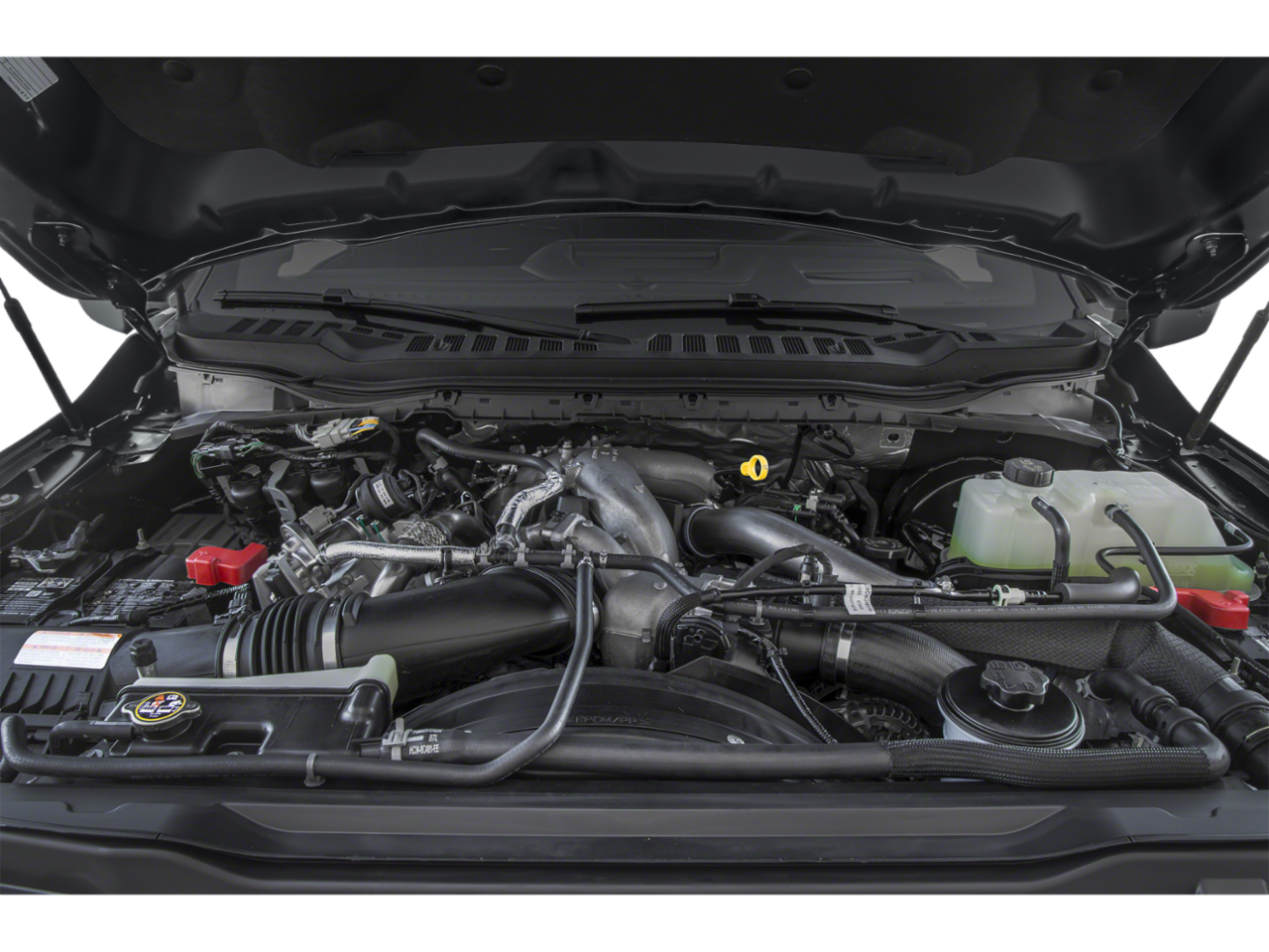 Color M7 Images