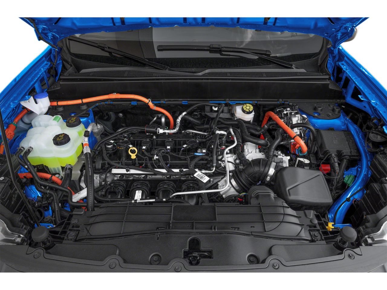 Color YZ Images