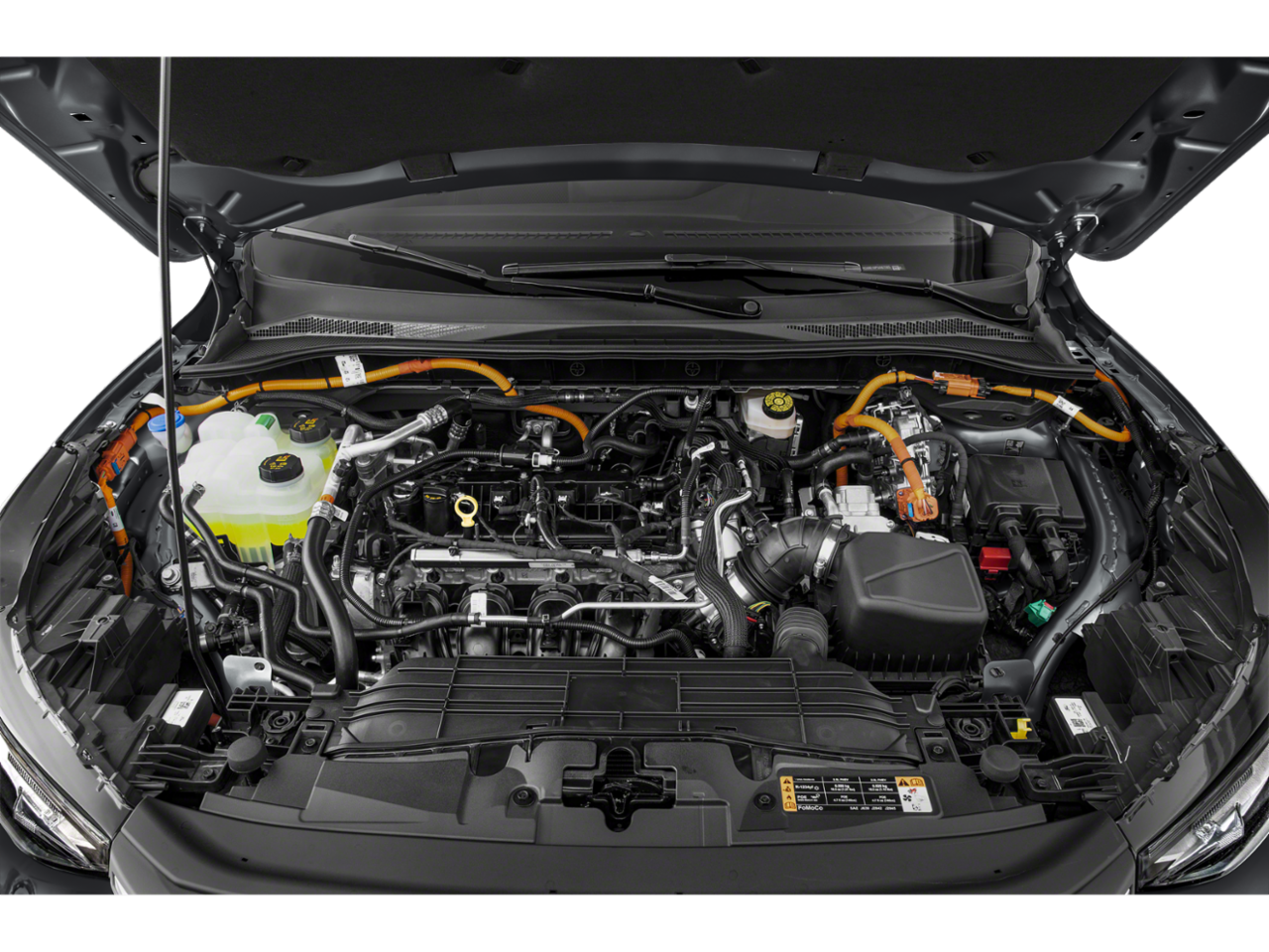 Color M7 Images