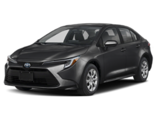 Sticky Gallery Image